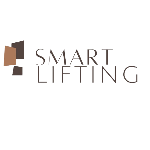 SmartBot Systems Logo